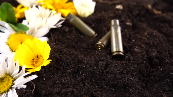 Bullet Casings Fall Ground Chamomile Flowers Slow Motion — Stockvideo