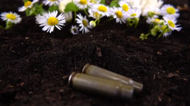 弾丸のケーシングは地面とカモミールの花に落ちる スローモーション — ストック動画