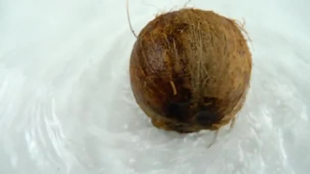 白い背景に熟したココナッツを水に回転させます スローモーション — ストック動画