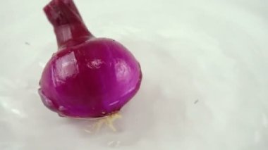 Beyaz arka planda suda dönen mavi soğan. Yavaş çekim.