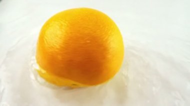 Beyaz bir zemin üzerinde olgun greyfurt şeklinde suyla dönüyor. Yavaş çekim.