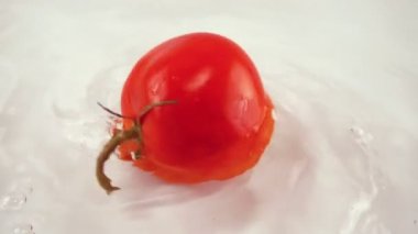 Beyaz arka planda olgun domatesleri suda döndürüyor. Yavaş çekim.