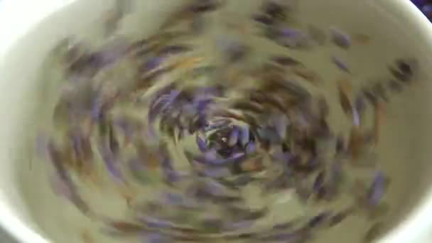 Färsk Lavendel Blomma Bryggs Kopp Varmt Vatten — Stockvideo