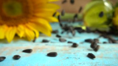 Sunflower, sunflower oil on blue vintage wooden table top and falling sunflower seeds on it. Slow motion.
