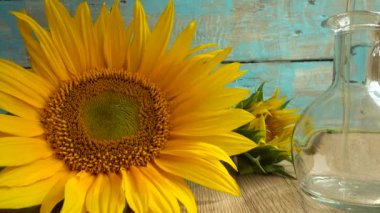 Sunflower disc and sunflower vegetable oil on blue vintage background.