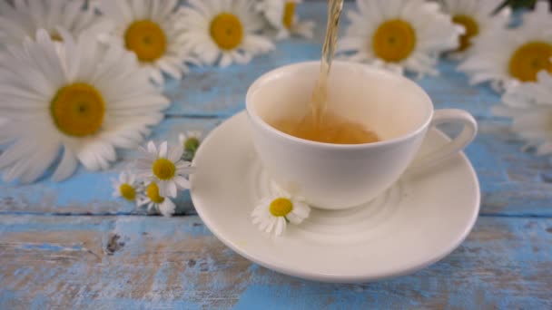 Composition Chamomile Flowers White Cup Herbal Tea Vintage Light Blue — Vídeo de Stock