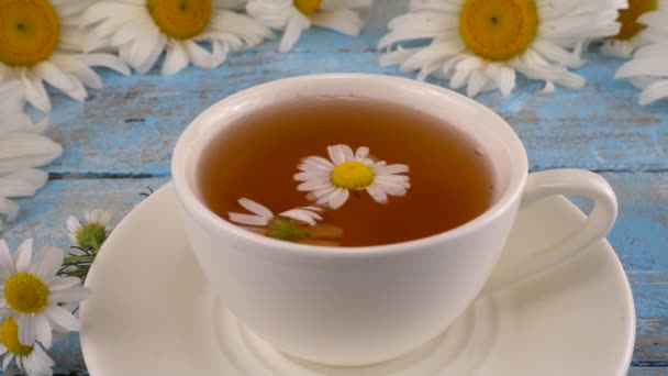 Composition Chamomile Flowers White Cup Herbal Tea Vintage Light Blue — Vídeo de Stock