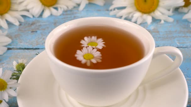 Composition Chamomile Flowers White Cup Herbal Tea Vintage Light Blue — Vídeo de Stock