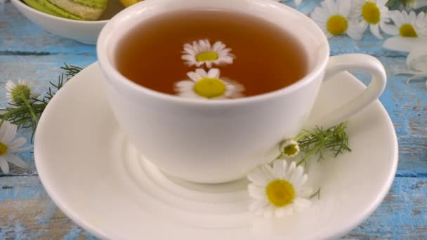 Composition Chamomile Flowers White Cup Herbal Tea Vintage Light Blue — Vídeo de Stock