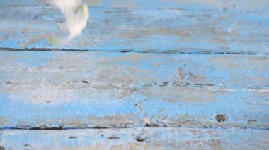 White chamomile petals drops on light blue vintage wooden background. Summer theme. Slow motion.