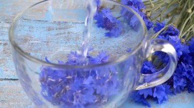Brewing a tisanes from knapweeds flowers in a transparent cup.