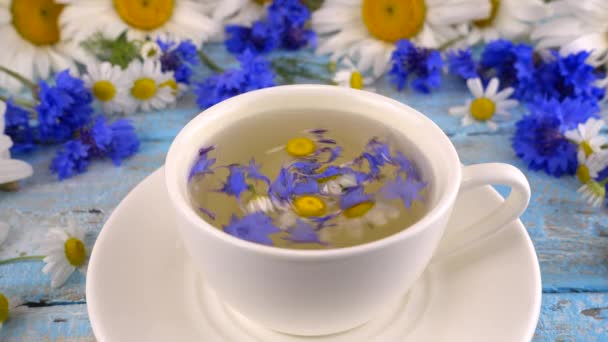 Skład Świeżych Chwastów Kwiatów Rumianku Herbaty Ziołowej Vintage Jasnoniebieski Drewniany — Wideo stockowe