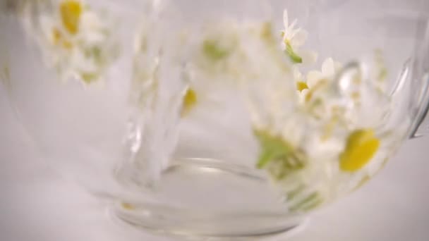 Brewing Herbal Tea Chamomile Transparent Cup Slow Motion — 图库视频影像