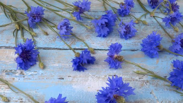 Fresh Flowers Knapweeds Vintage Light Blue Wooden Tabletop — Video Stock