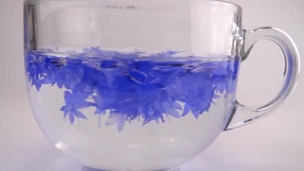 Brewing Tisanes Knapweeds Flowers Transparent Cup — Stockvideo