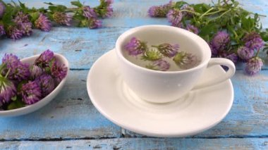 Brewing a tisanes from red clover in a white cup. Composition on vintage light blue wooden tabletop with fresh flowers of clover.