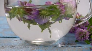 Brewing a tisanes from red clover in a transparent cup. Slow motion.