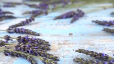 Fresh roses fall on a vintage wooden light blue background with lavender flowers on it. Composition in the style of French Provence. Slow motion.