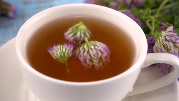 Brewing Tisanes Red Clover White Cup — Vídeo de stock