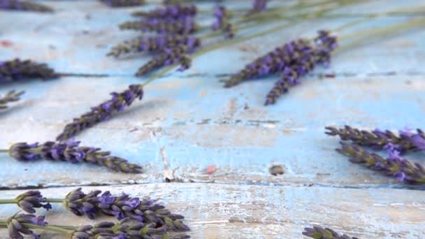 Fresh Roses Fall Vintage Wooden Light Blue Background Lavender Flowers — Stock Video