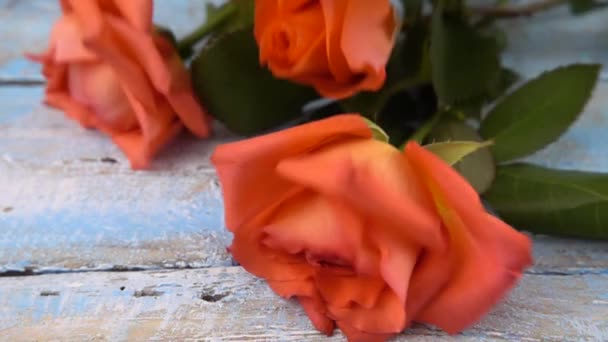 Bouquet Fresh Roses Flowers Drops Vintage Wooden Light Blue Surface — 图库视频影像