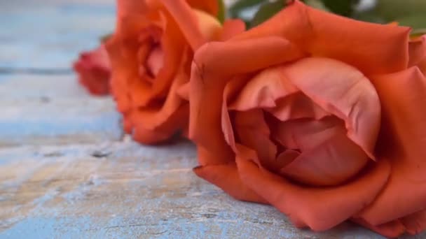 Bouquet Fresh Roses Flowers Drops Vintage Wooden Light Blue Surface — Stockvideo