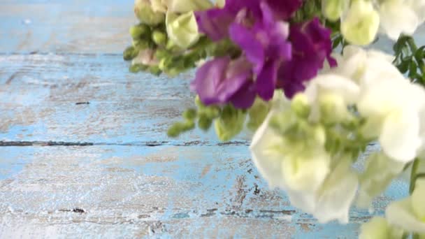 Bouquet Fleurs Dragon Colorées Gouttes Sur Vintage Surface Bleu Clair — Video