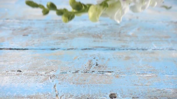 Bukiet Kolorowych Kwiatów Smoka Krople Zabytkowej Drewnianej Jasnoniebieskiej Powierzchni Zwolniony — Wideo stockowe