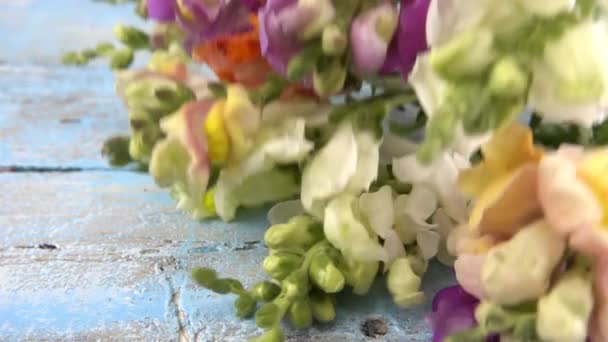 Μπουκέτο Πολύχρωμα Λουλούδια Δράκου Σταγόνες Vintage Ξύλινη Γαλάζια Επιφάνεια Αργή — Αρχείο Βίντεο