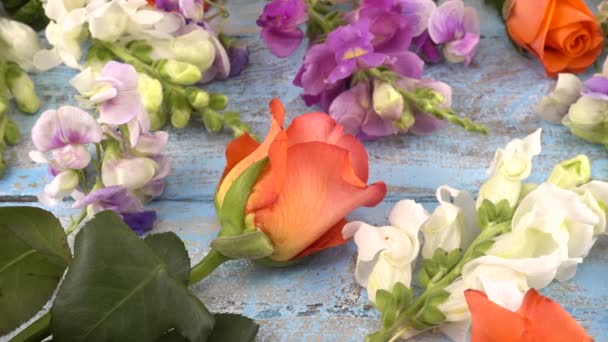 Barevné Letní Zahradní Květiny Dračí Květiny Růže Sladký Hrášek Vinobraní — Stock video