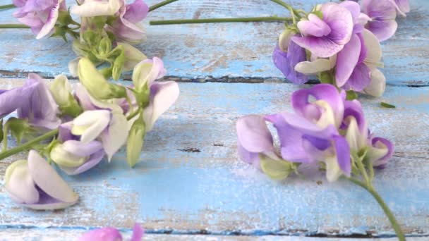 Colorful Summer Garden Flowers Lilac Sweet Pea Vintage Wooden Light — Wideo stockowe