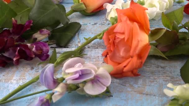 Colorful Summer Garden Flowers Dragon Flowers Roses Sweet Pea Vintage — Wideo stockowe