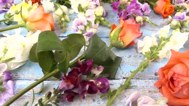 Colorful Summer Garden Flowers Dragon Flowers Roses Sweet Pea Vintage — Wideo stockowe