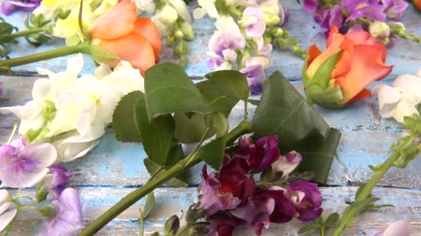 Coloridas Flores Jardín Verano Flores Dragón Rosas Guisantes Dulces Fondo — Vídeo de stock