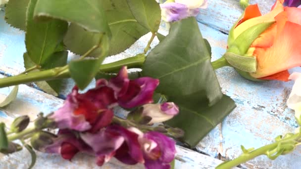 정원의 드래곤 스러운 배경의 완두콩 — 비디오