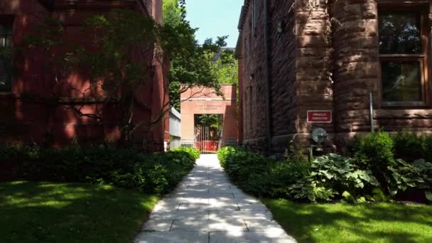 Scenic Path Buildings Colleges University Toronto Entrance Peter Bronfman Courtyard — Stockvideo
