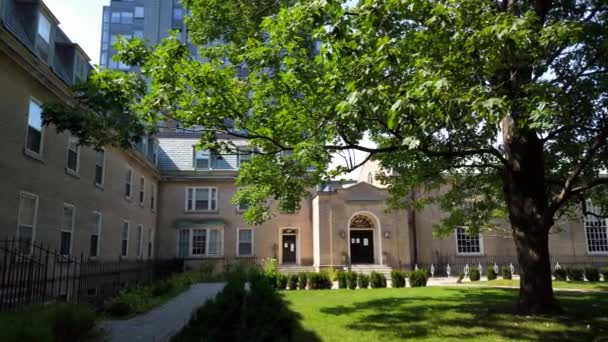 Walking Paths Interior Garden Knox College Knox College Postgraduate Theological — Vídeo de Stock