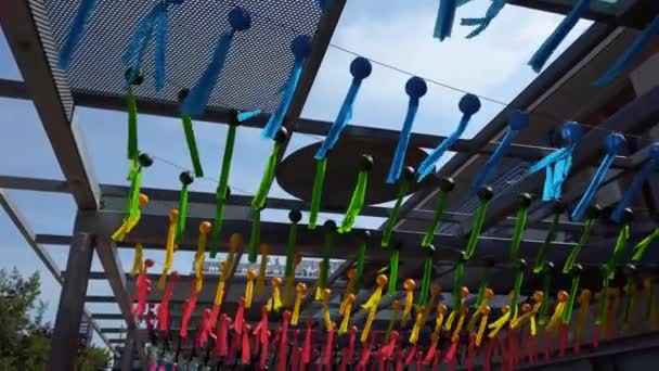 Разноцветные Ленты Развеваются Ветру Украшение Входа Здание Колледжа Университета Торонто — стоковое видео