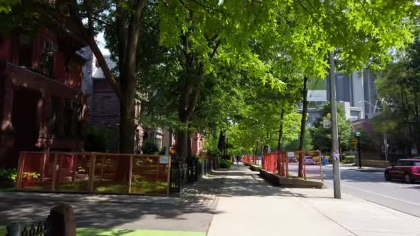 Green Shady Street Centro Toronto Día Verano — Vídeo de stock