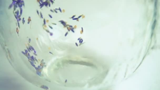 Bryggte Från Färska Lavendel Blommor Vit Bakgrund Ström Kokande Vatten — Stockvideo