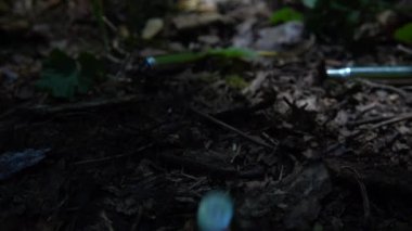 Bullet casings fall to the ground. Shooting in the forest. Slow motion.