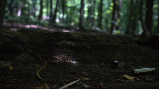 Bullet Casings Fall Trunk Old Tree Covered Moss Shooting Forest — Video