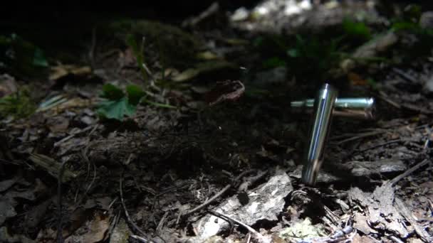 Bullet Casings Fall Ground Shooting Forest Slow Motion — Stockvideo