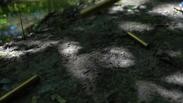 Bossoli Cadono Terra Sparare Nella Foresta Rallentatore — Video Stock