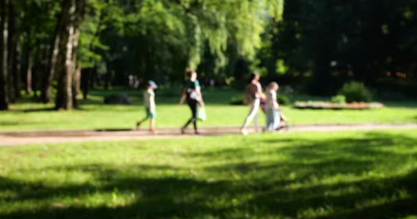 Alley Summer Park Out Focus Young Family Walks Path — Stockvideo