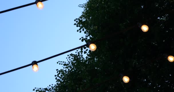 Light Bulbs Background Trees Summer — Αρχείο Βίντεο