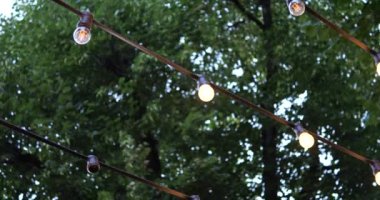 Yazın ağaçların arka planında ampuller.