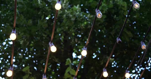 Light Bulbs Background Trees Summer — Stock Video