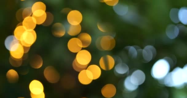 Light Bulbs Background Trees Summer Out Focus — Stock Video