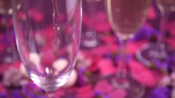 Sparkling Wine Poured Glass Purple Background Candy Coconut Flakes Heart — Vídeo de stock